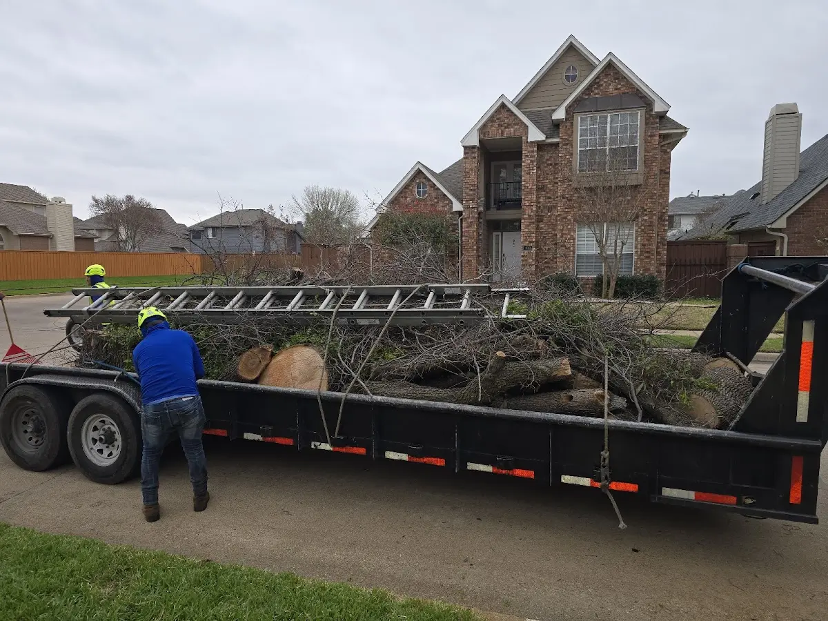 Expert Tree Fertilization with proper safety equipment in Cottonwood